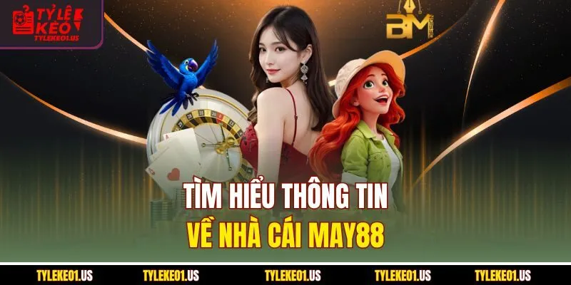 Tìm hiểu thông tin về nhà cái May88